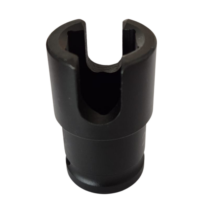 FREE Eyebolt Socket - Eyebolts and Nylon Plug Bundle